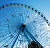 24 Days of Fun: Our State Fair Recap