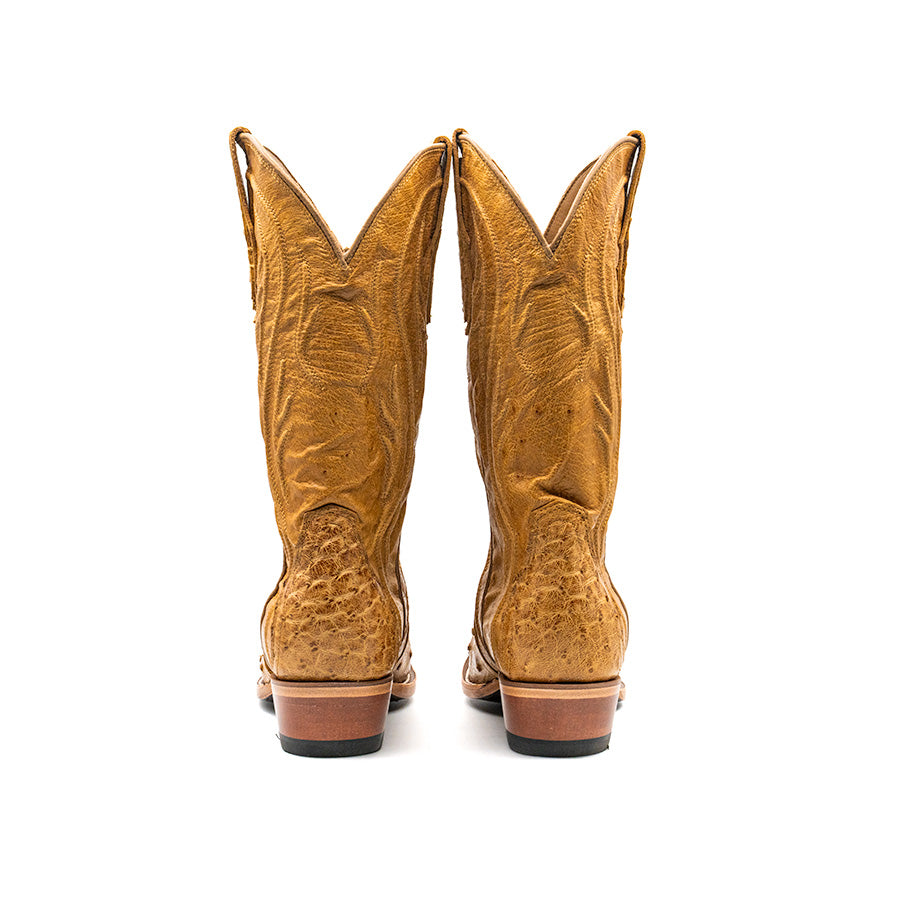 The Barbara