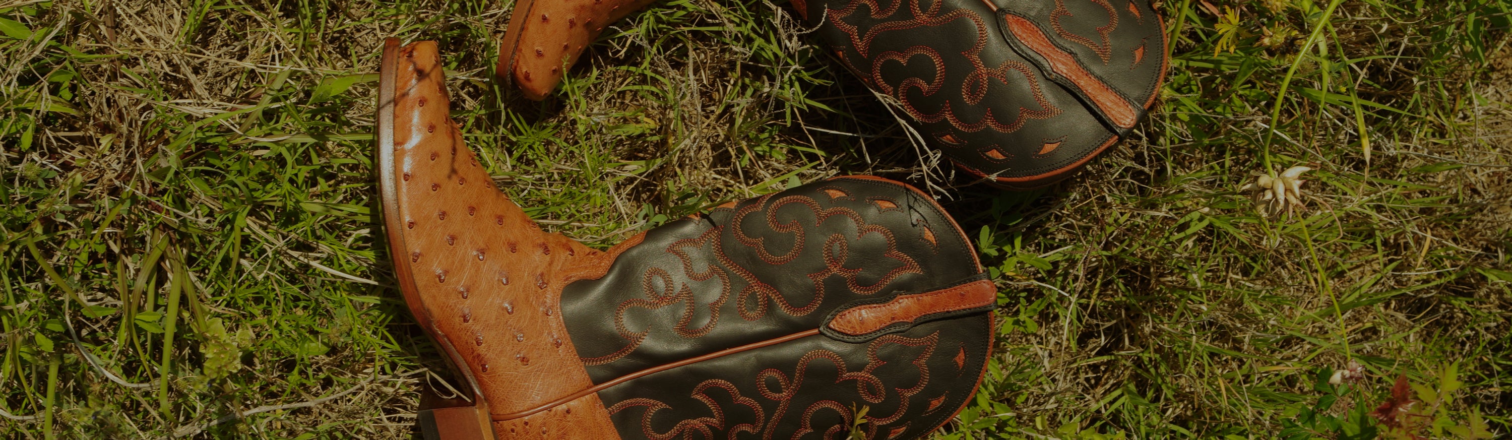 RUJO Full-Quill Ostrich cowboy boots lying on the grass