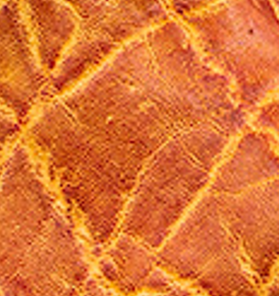 Honey Dipped - Swatch